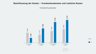 Beeinflussung der Kosten – Krankenhauskosten und restliche Kosten: Restliche Kostenbereiche 