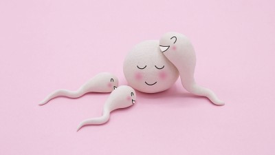 Illustration Spermien und Eizelle