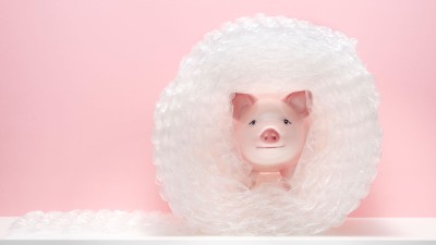 Spielzeug Schwein in Luftpolsterfolie