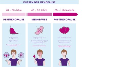 Phasen der Menopause