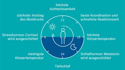 Infografik Zeitumstellung
