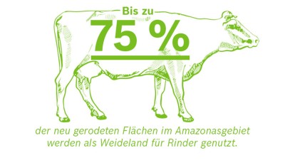 Infografik: Bis zu 75% der neu gerodeten Flächen im Amazonasgebiet werden als Weideland für Rinder genutzt.