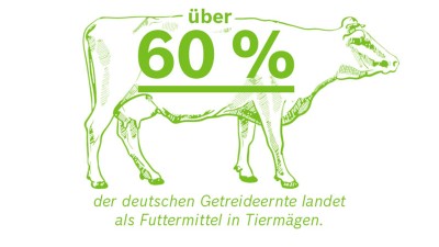 Infografik: Über 60% der deutschen Getreideernte landet als Futtermittel in Tiermägen.