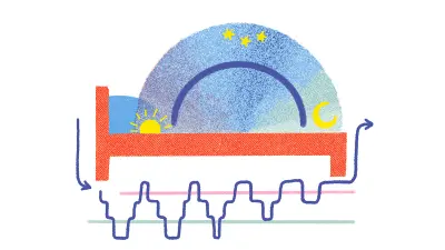 Grafische Darstellung der vier Schlafphasen.